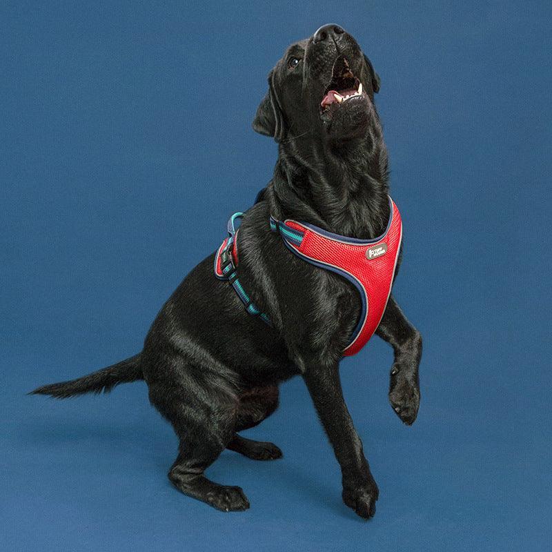 Breathable Mesh Dog Harness With Anti-Breakaway Traction Rope