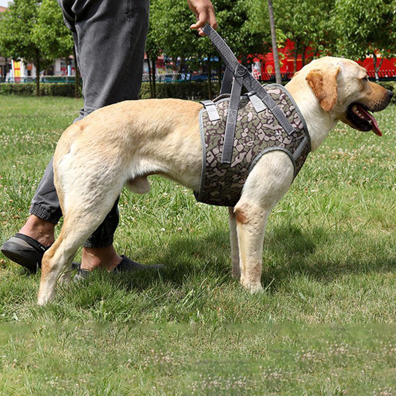Dog Soft Adjustable Harness Pet Large Dog Walk Out Harness Vest for Medium Dog Chest Strap Dog Harness Pets Accessories