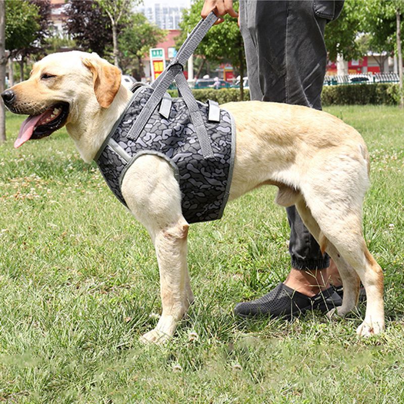 Dog Soft Adjustable Harness Pet Large Dog Walk Out Harness Vest for Medium Dog Chest Strap Dog Harness Pets Accessories