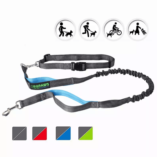 JESPET Hands-Free Bungee Dog Leash with Adjustable Waist Belt and Dual Control Handles